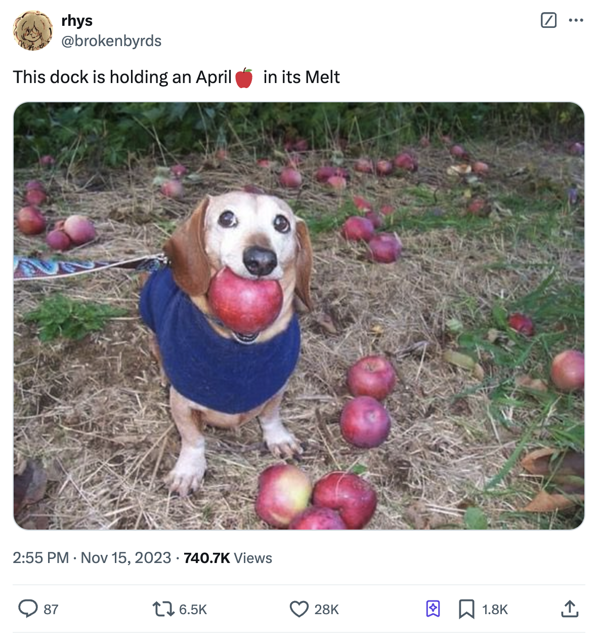 This Dog is Holding an Apple in its Mouth